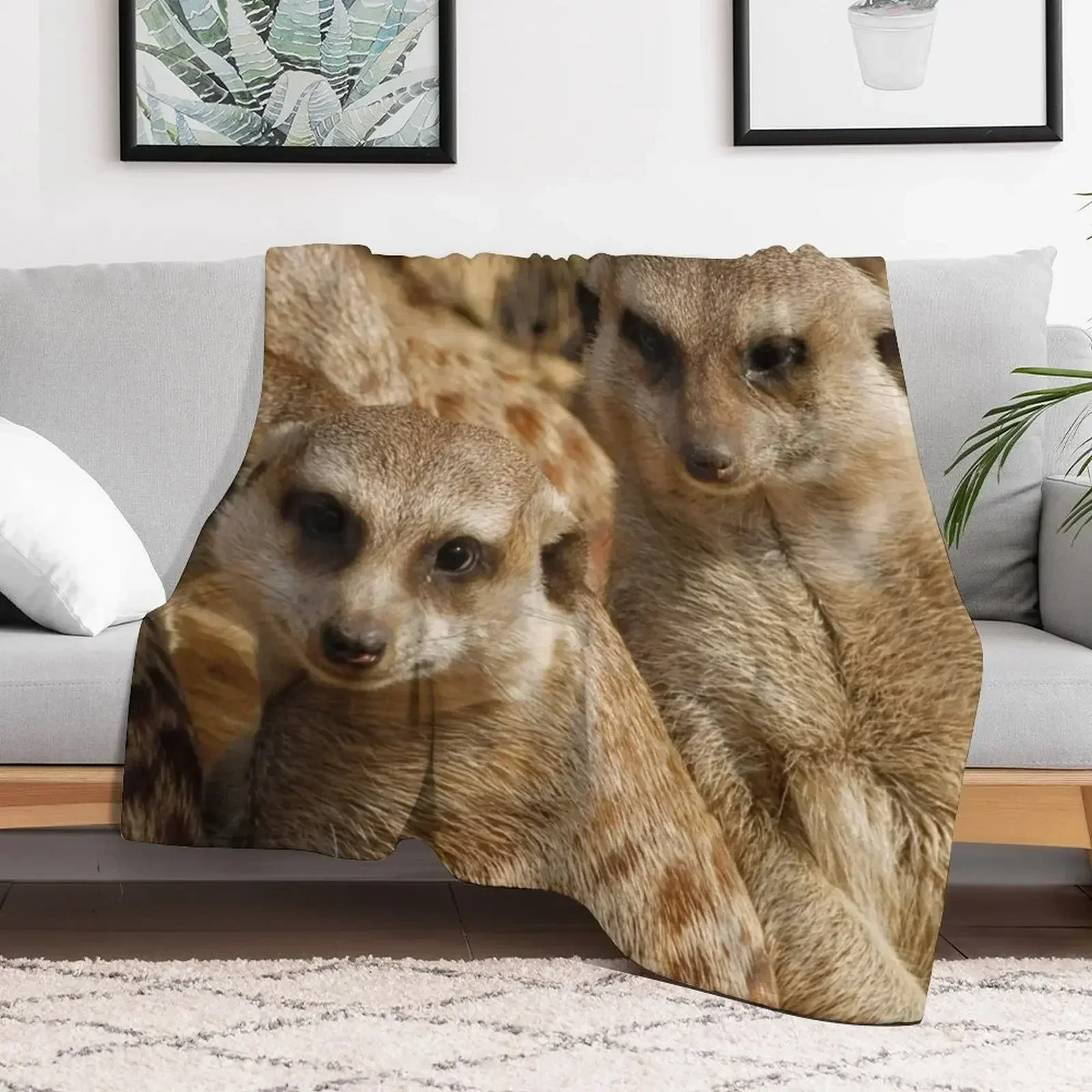 Одеяло Meerkat 399 роскошные брендовые зимние кровати одеяла для диванов