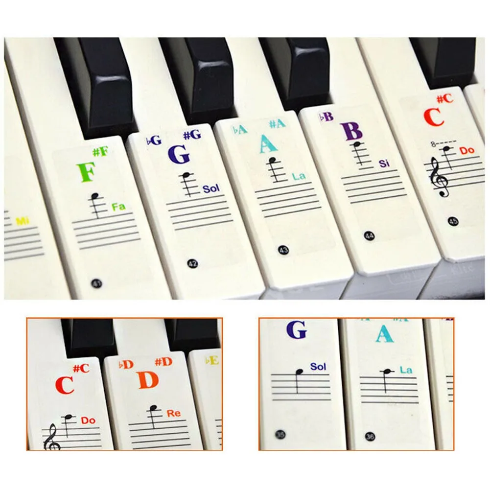 

For All Instruments With 49/61/37/88 Keys Buttons Piano Keyboard Stickers PVC Durable