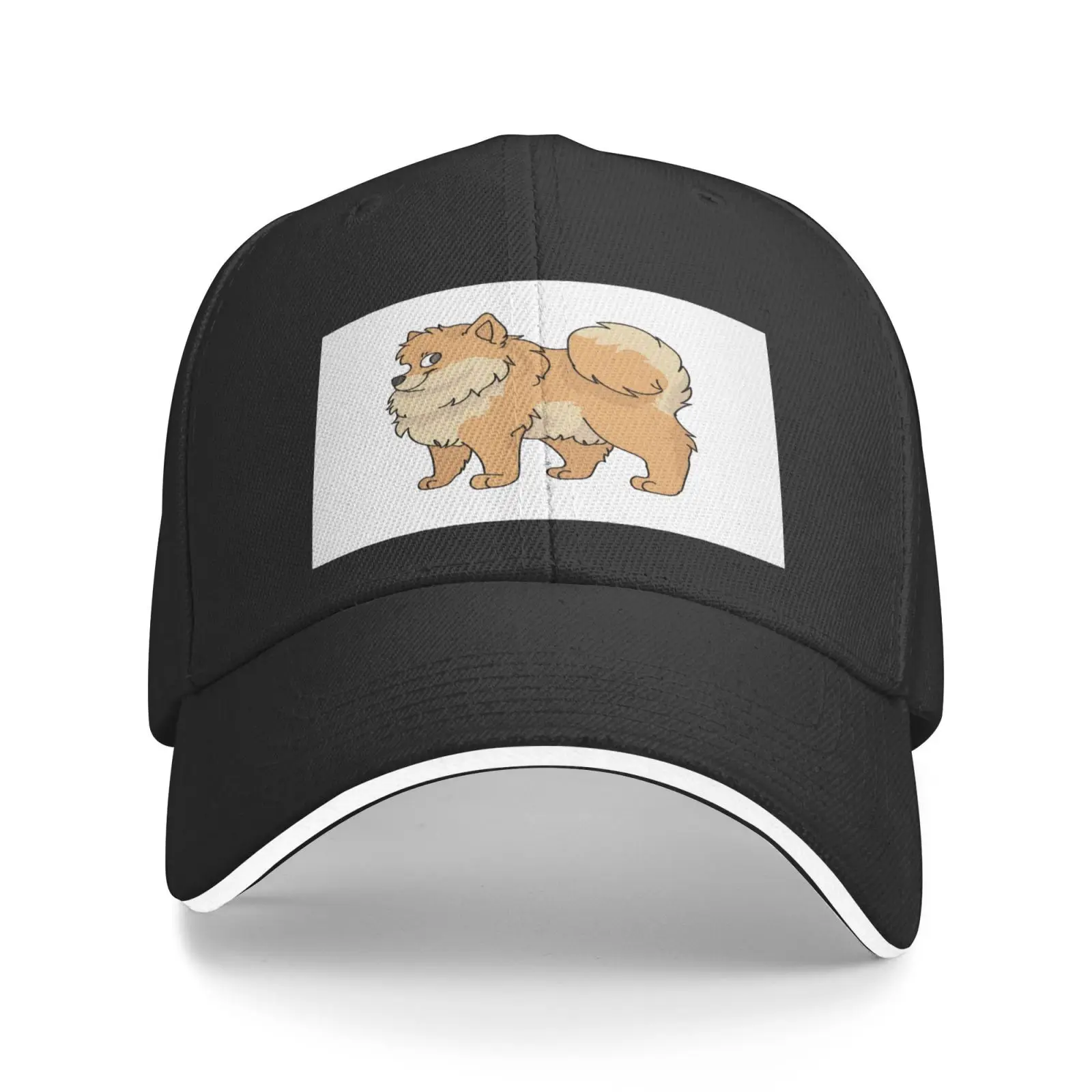 

Кепка-Панама Померанская 2655, женские шапки, кепка для мальчиков, Балаклава, шляпы для женщин, Балаклава, Мужская Панама, шляпы, мужская шапка