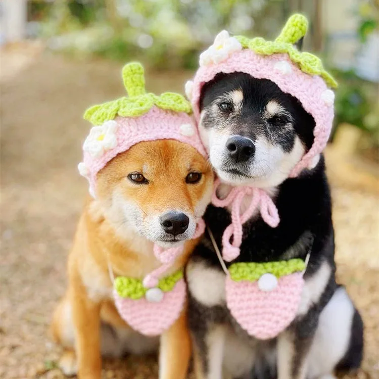 

Ins Pet Dog шляпа клубника ручной работы милый головной убор в виде клубники маленькая сумка милый домашний питомец фото реквизит шляпы для соба...