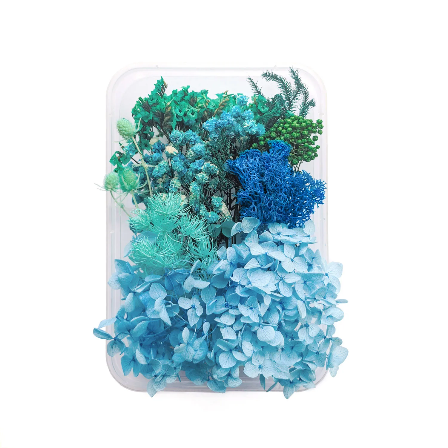 Настоящие натуральные сухие цветы для изготовления искусственной свечи