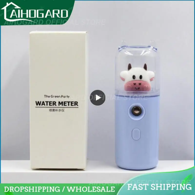 

Facial Sprayer USB Rechargeable Nano Mist Sprayer Beauty Moisturizing Skin Care Humidifier Nebulizer Face Steamer Instruments