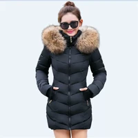 women jackets 2022 warm fur collar zipper casual coats women parkas thick hooded cotton padded windproof female jacket
