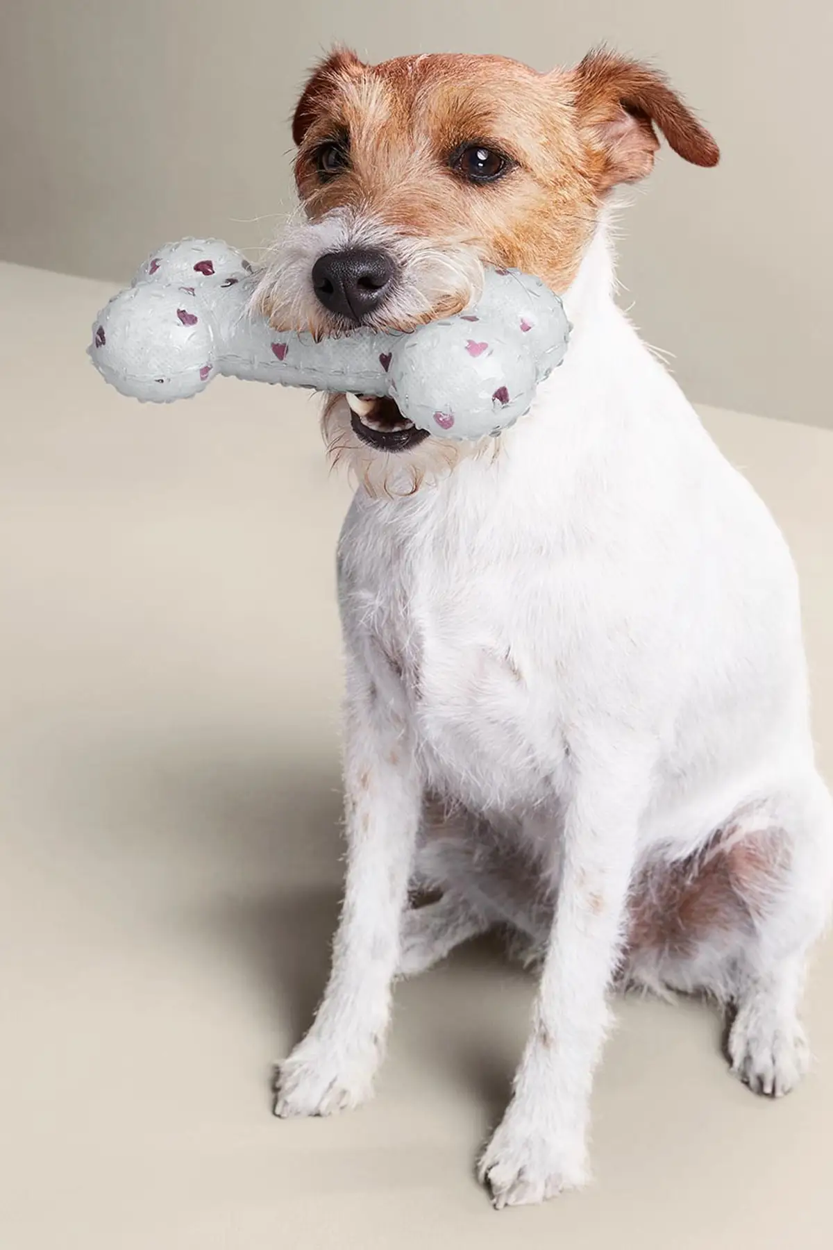 

Игрушки для собак, домашних животных, игрушка для собак