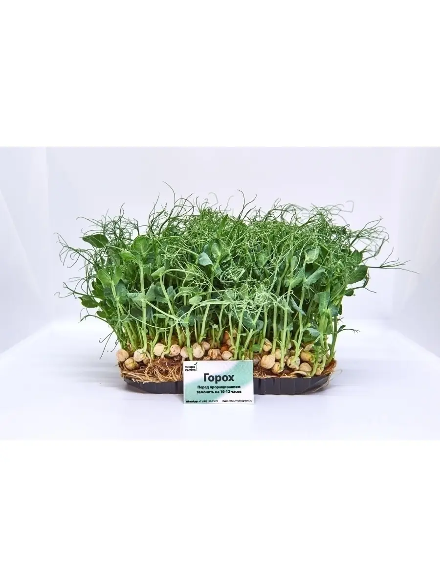 Набор для выращивания микрозелени 10 урожаев &quotMikroGreens" (горох клевер редис