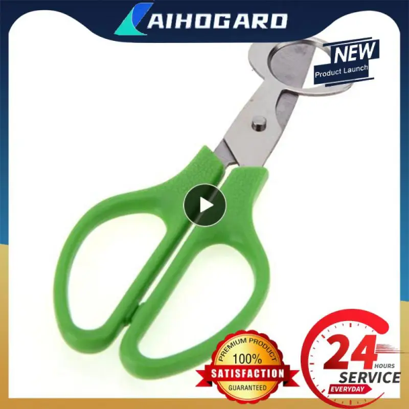 

Ножницы для резки яиц, лезвие из нержавеющей стали