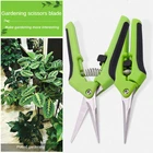 Садовые ножницы для обрезки, ножницы для бонсая, металлические искусственные инструменты, ручная резка винограда, для сбора фруктов, сорняков, домашние горшечные растения