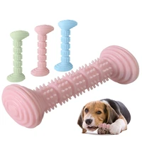 new tpr pet toy dog chewing tooth cleaning stick dog toothbrush chewing toy molar bite resistant interactive dog toy for all dog