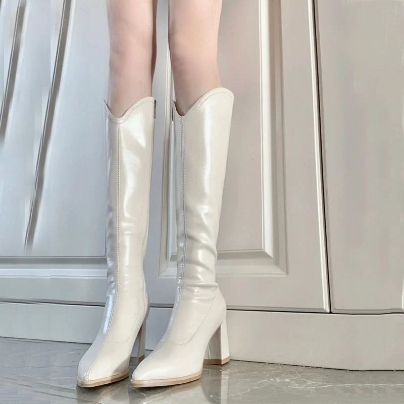 

2023 New Autumn Winter Boots Women Pointed Toe Long Boots Back Zippers Square High Heel Ladies Western Cowboy Knee High Botties