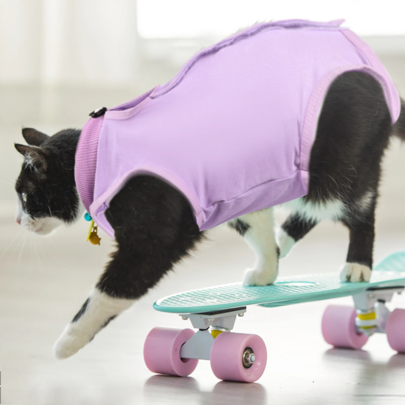 

6 шт. костюм для выздоровления котят