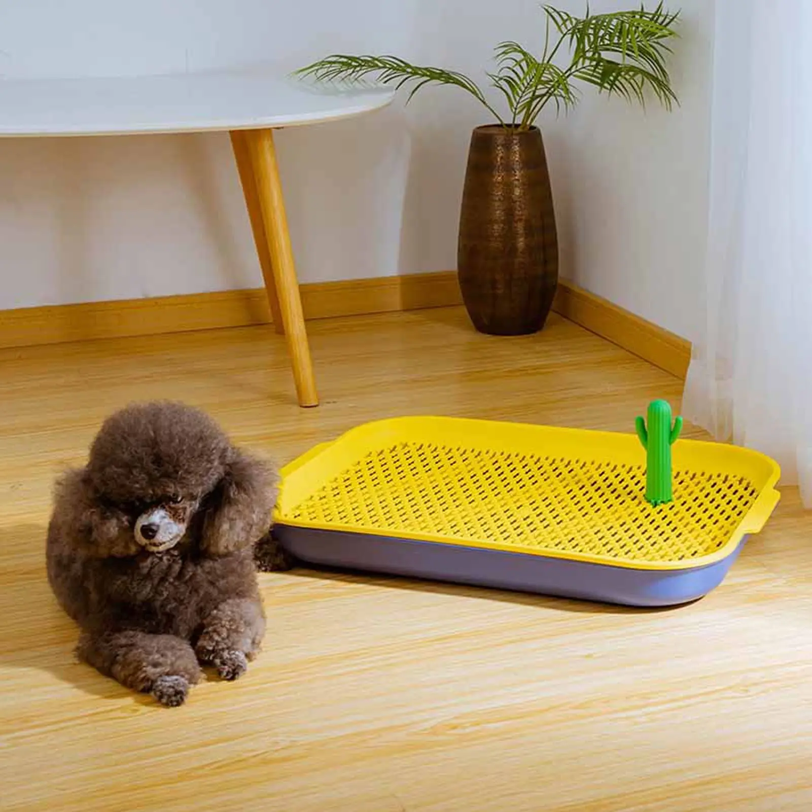 How Do You Potty Train An Indoor Dog