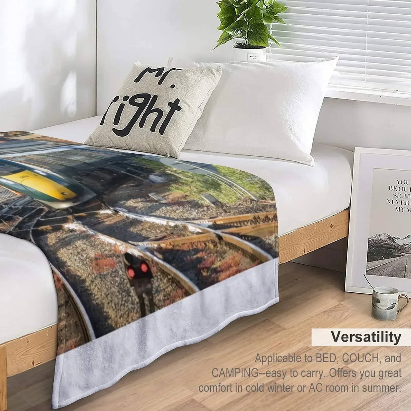 Новинка одеяло Exeter St Davids IET пушистые одеяла для кровати