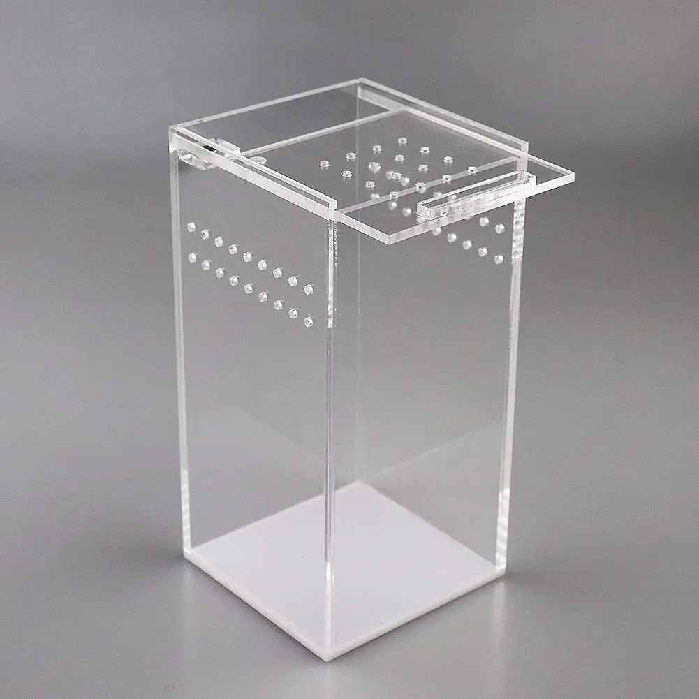 Ящик для разведения рептилий места домашнего животного эскимо акриловый чехол