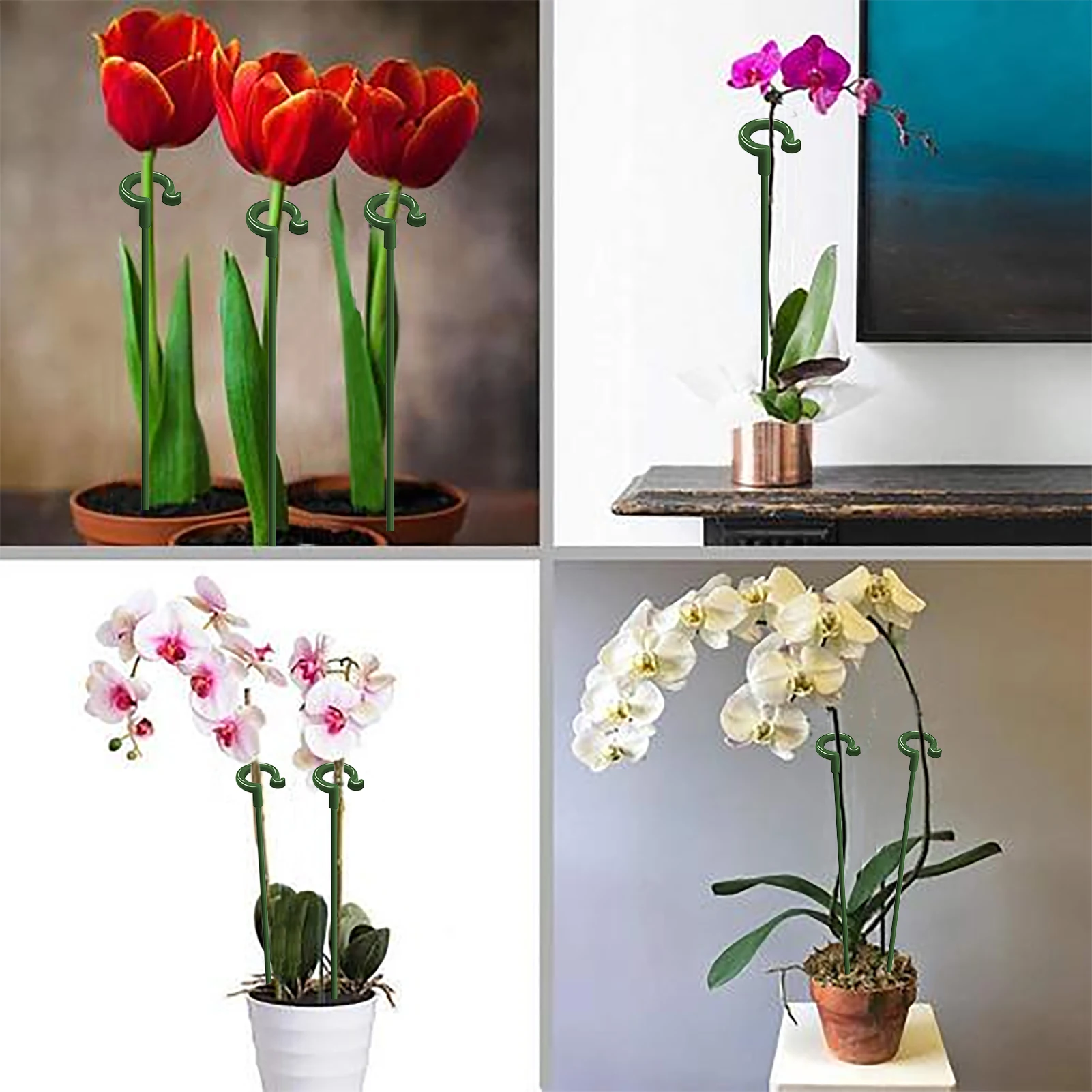 

Single Stem Support Stakes Garden Flower Pot Plant Frame With Clips Weatherproof Vertical Plants Climbing Frame For Lily Peony
