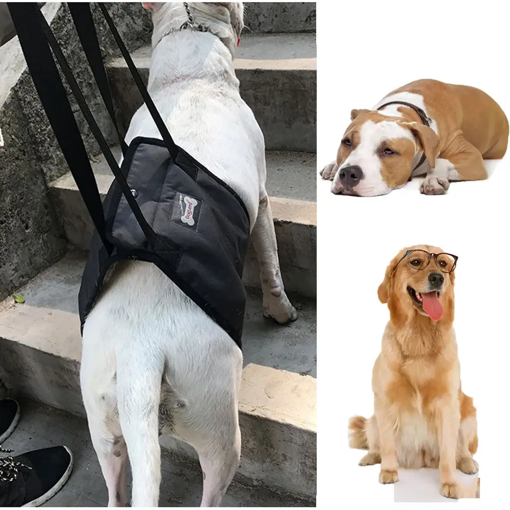 

Hind Leg Harness Support Elderly Disabled Dog Dog Walking Dog Lifting Belt Disability Auxiliary Pet Auxiliary Belt