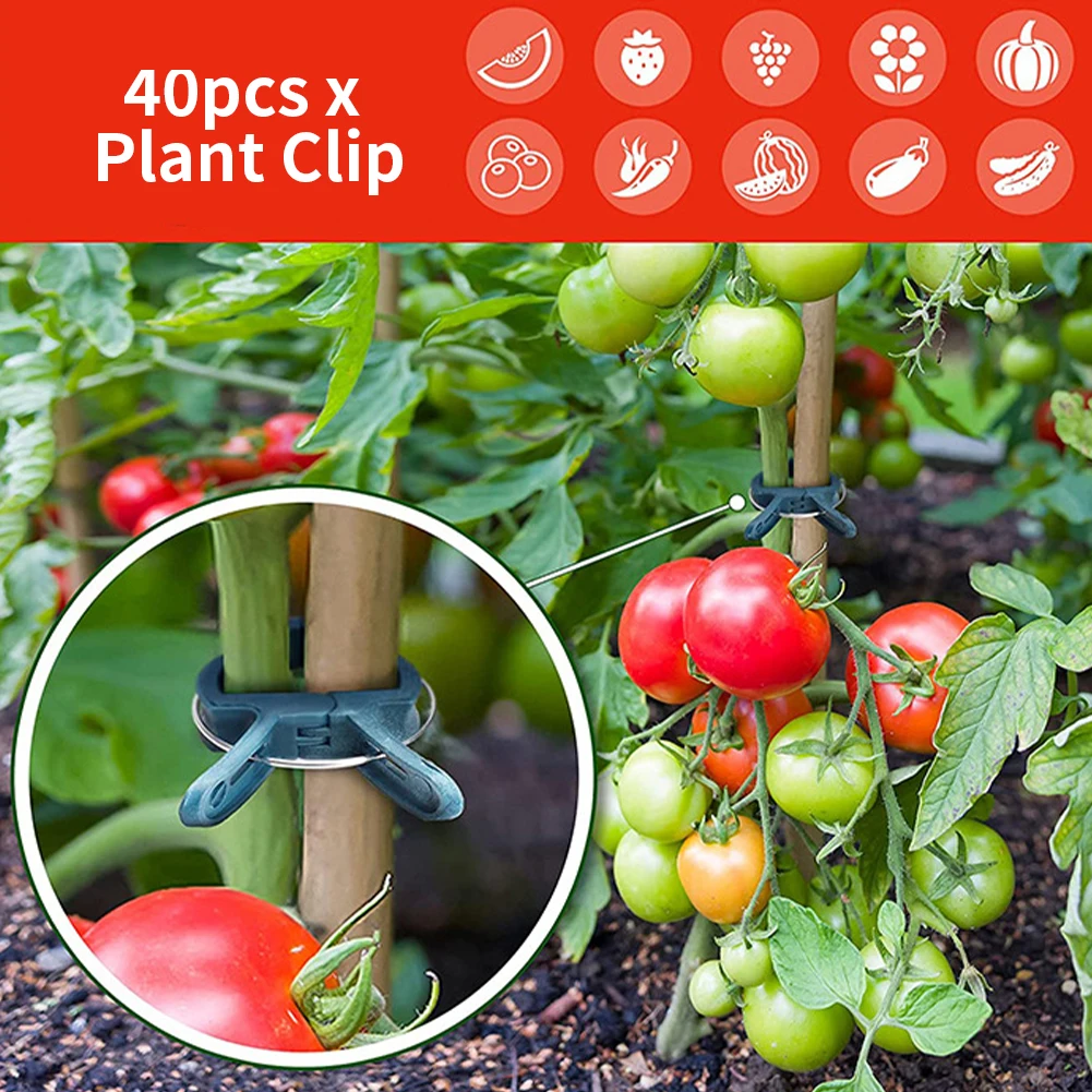 

40pcs Reusable Plant Clip Climbing Vine For Supporting Stem Fixing Straightening Vegetable Flower Clamp Plastic Garden Tool