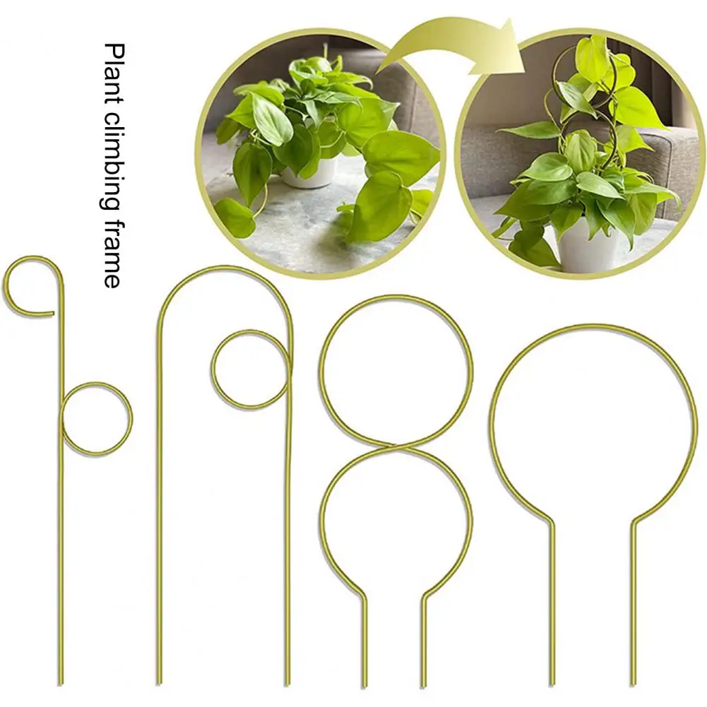 

Unique Plant Climbing Rack Good Ventilating Metal Easy to Use Flower Support Stake Gardening Tool