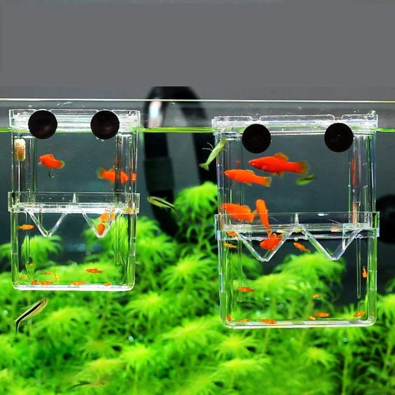 Small Fry Breeding Box Aquarium Isolation Box Transparent Acrylic Single Grid Double Grid Aquarium Supplies Fish Tank