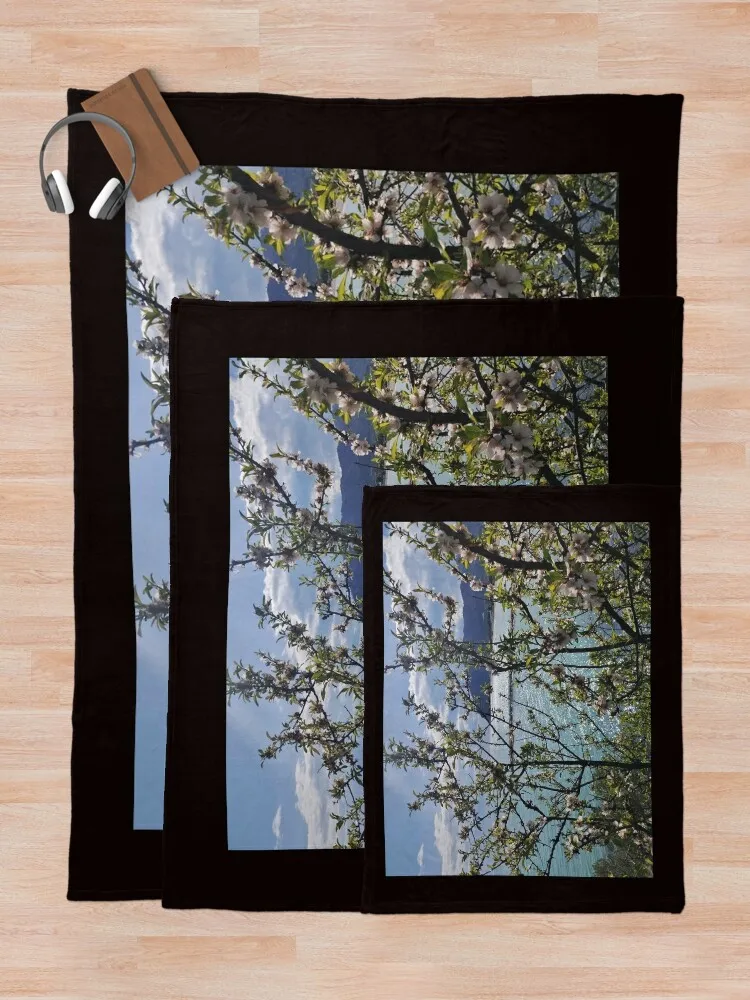 Зачарованный Гаммат: Монте Сарацено через цветы миндаля плед диван-кровать