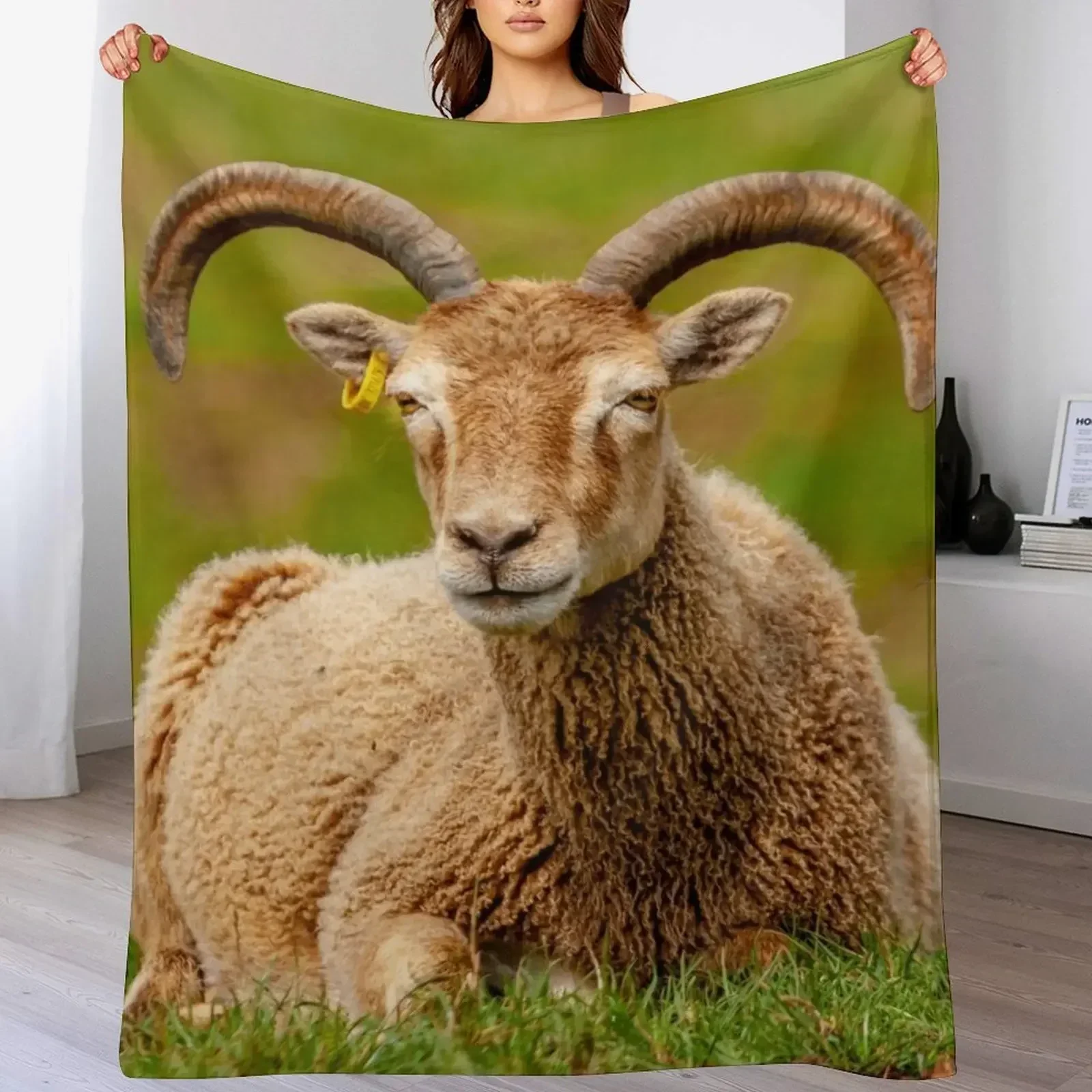 Одеяло Soay Sheep одеяла для диванов