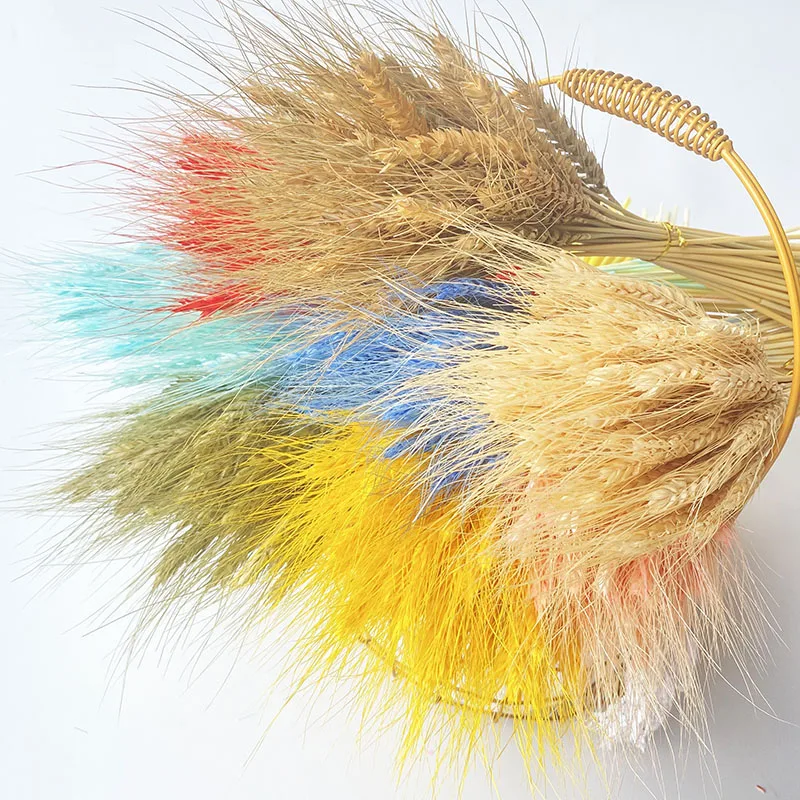 

Wheat Bunch 30/50/100pcs Natural Dried Flowers for Wedding Party Decoration Bouquet Gift Living Room Home House Country
