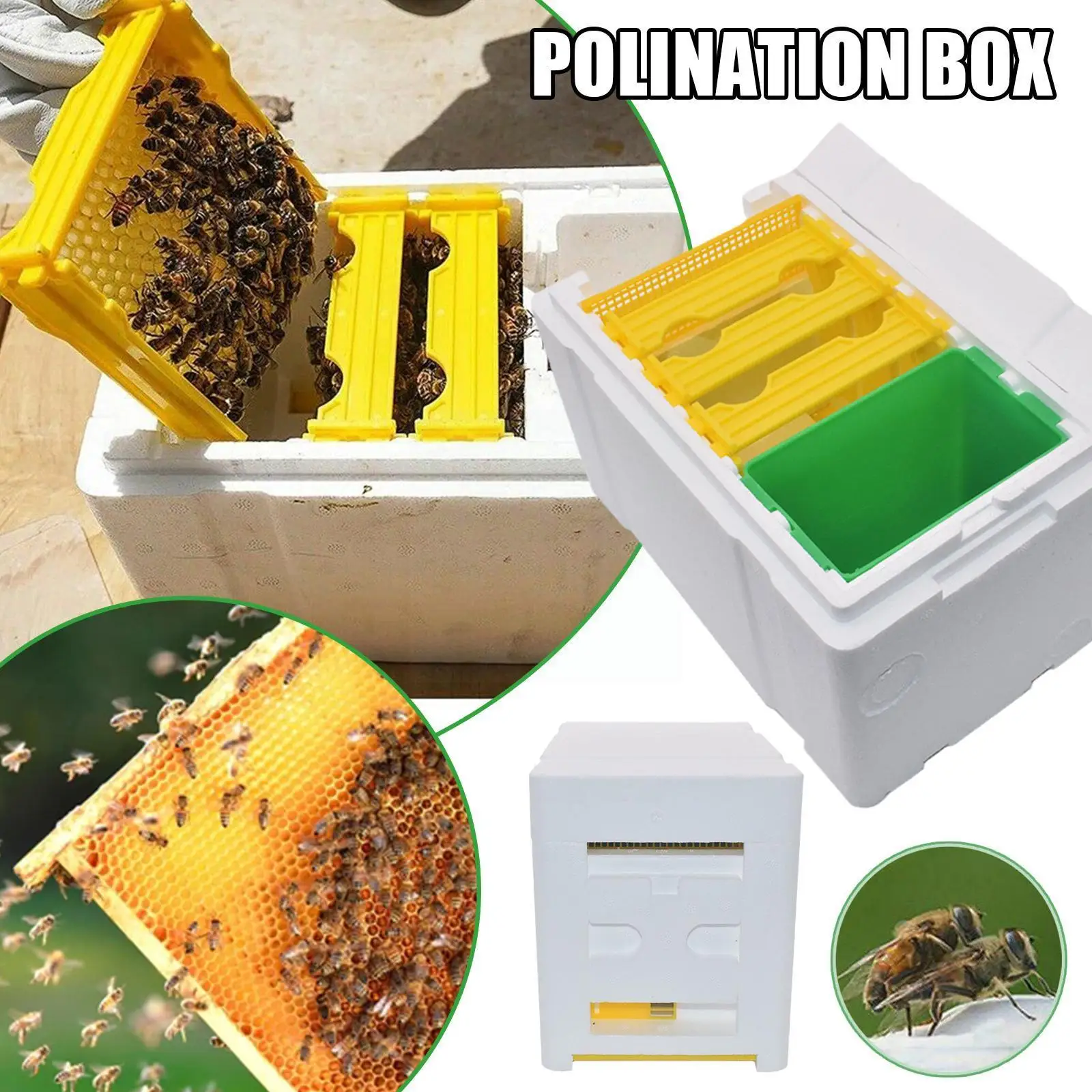 

Queen Bee Breeding Box Bee Mating Box Foam Beehive Case BeesHive Breeding Beekeeping Bee Garden Box Pollination Beekeeper S L9V6