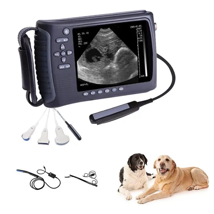 

Veterinary Ultrasound Equipment Handheld Vet Digital 5 Inches Ultrasound Scanner Portable Veterinary Ultrasound