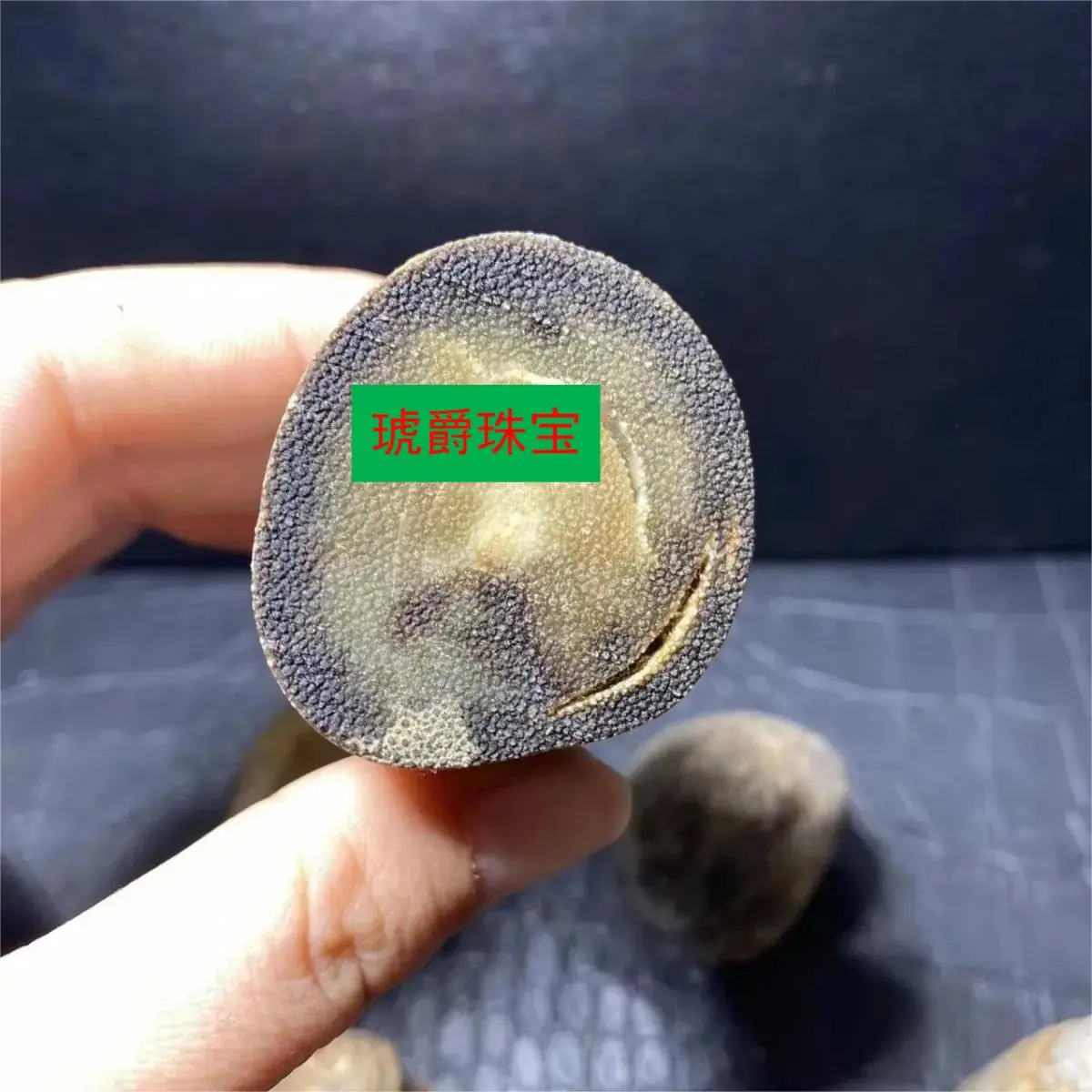 Natural Woolly Rhinoceros Whole Horn High-End Horn Ornaments Health Grinding Powder Into Medicine To Play Both Fish Seed Grain