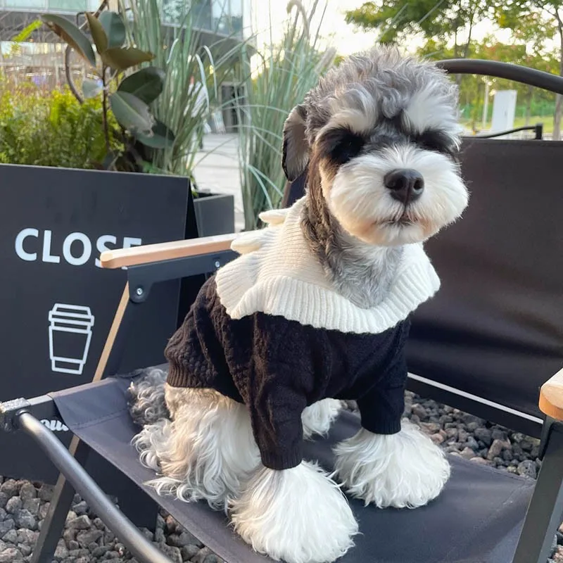 

Модный дизайнерский свитер для собак, зимняя одежда для собак, кружевной ошейник, королевская одежда для маленьких собак, теплые удобные ко...