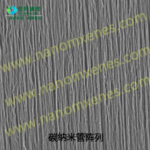 Carbon nanotube array