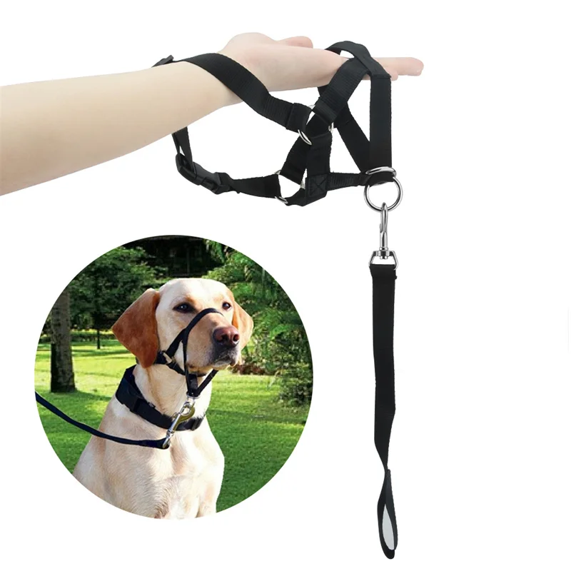 

Hot Usefull Gentle Halter Halti Harness Harnesses Leader Seasons All Dog Head Lead Collar Breakaway Training Creative Nylon