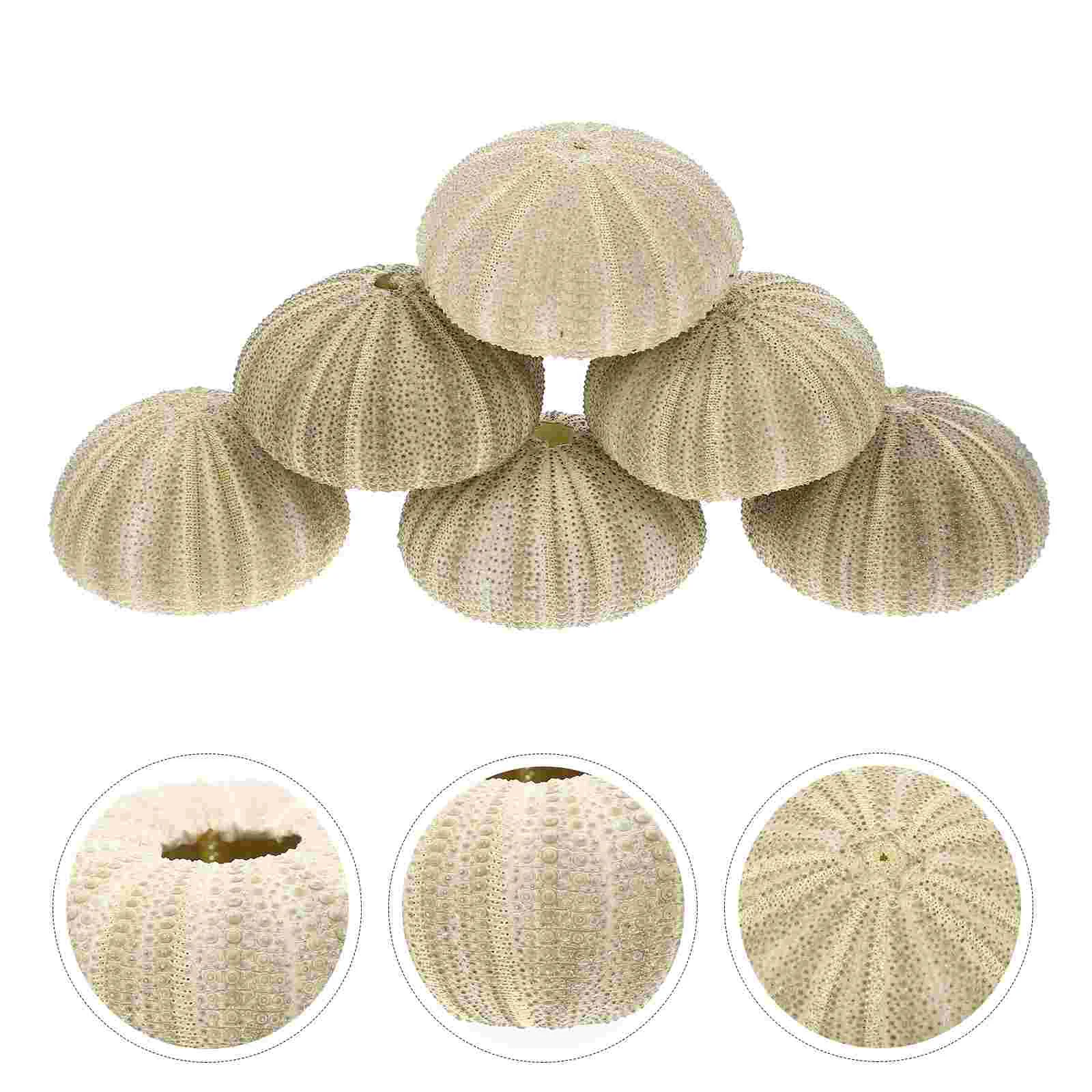 

Urchin Shell Sea Airholder Hanging Planter Pot Succulent Natural Shells Decor Vase Mini Nautical Pots Diy Ornament Cute