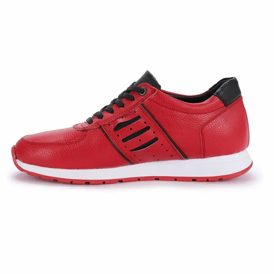 

Sneakers Men Ayakland