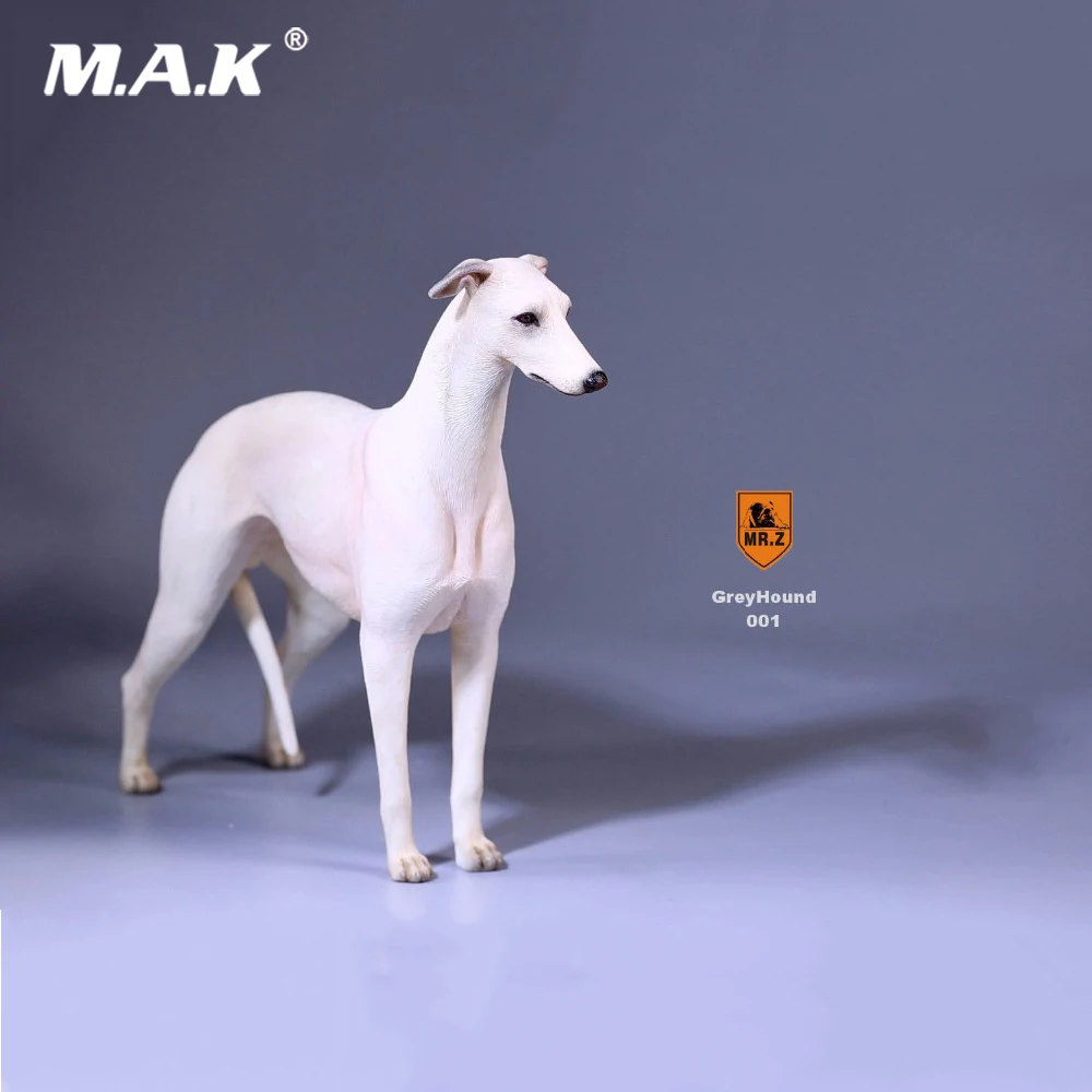 

1/6 Collectible Figure Scene Accessories Mr.Z 14th 1/6 Scale No.14 Greyhound Animal Dog Model 6 Colors for 12'' Action Figure