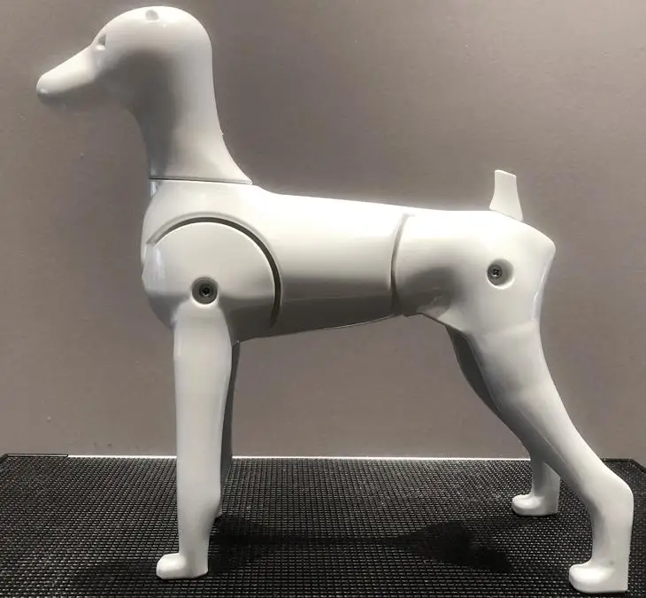 

Grooming model dog 0615-2022-3-US