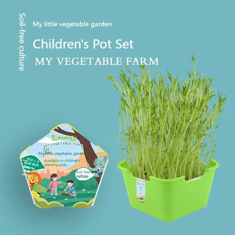 

DIY potted hand-made toys improve hands-on ability students' holiday gifts hydroponic plant growth observation creativity