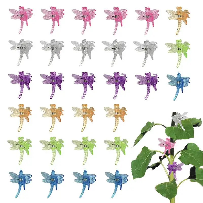 

Garden Clips For Tomatoes 30PCS Climbing Vegetables Dragonfly Shape Clips Portable Support Clips For Vegetable Cute Flowers