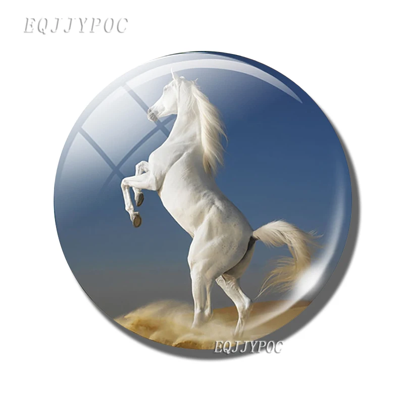 Магниты для холодильника EQJJYPOC с мультяшными животными