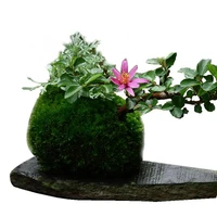 moss design flowerpot succulent plant container home garden cafe decoration