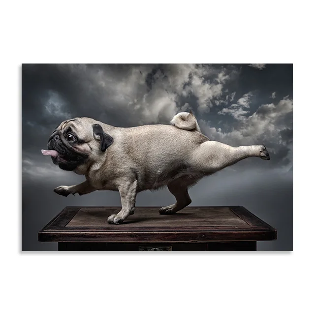 

Картина с изображением мопса на холсте