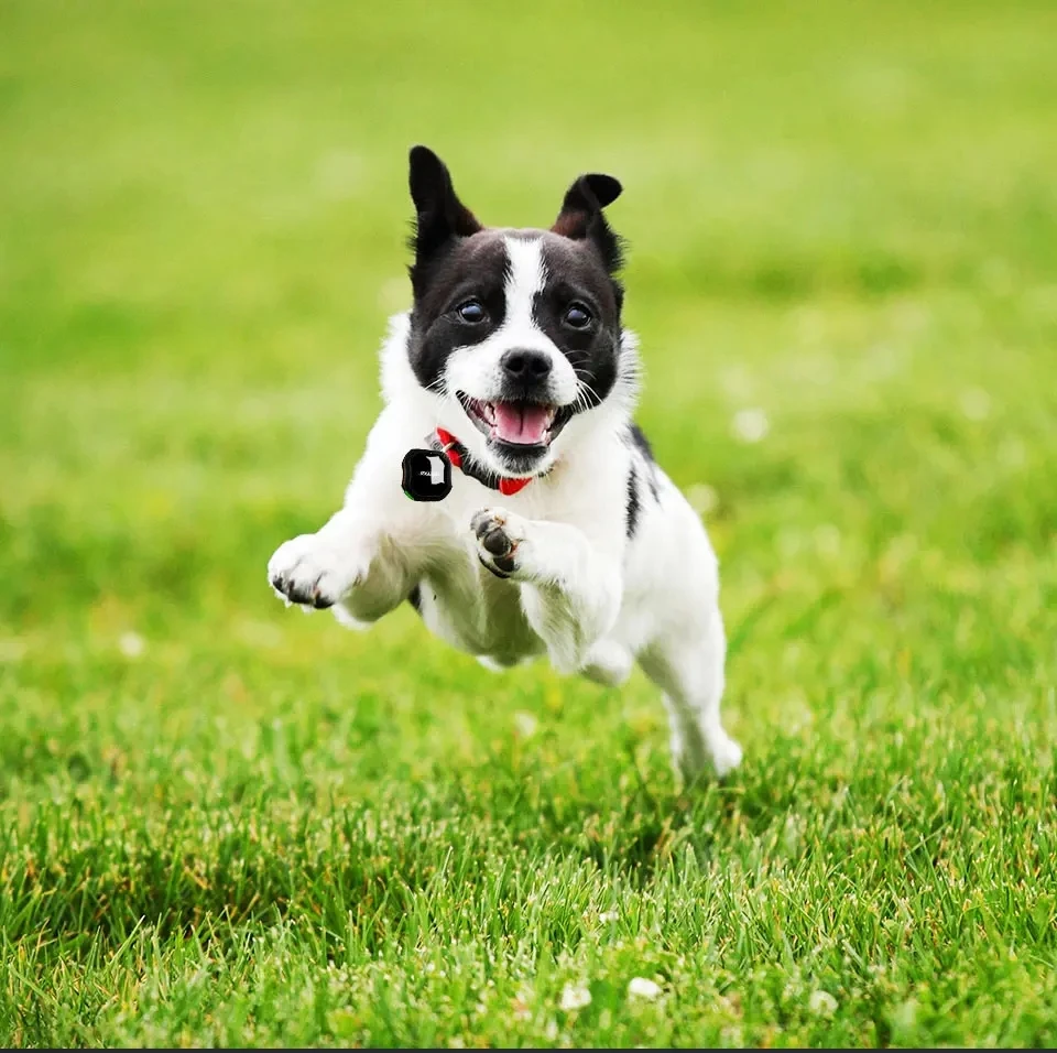 TKSTAR TK109 Портативный GPS-трекер мини-персональный автомобиль голосовой монитор для