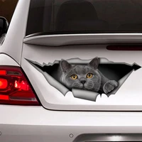 british shorthair decal gray cat car decal funny sticker cat car sticker