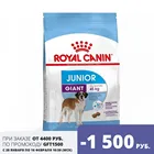 Royal Canin Giant Junior для щенков от 8 месяцев гигантских пород, 15 кг