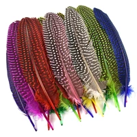wholesale 100pcslot natural pearl guinea fowl feathers chicken spotted pheasant feather dream catcher handicraft accessories