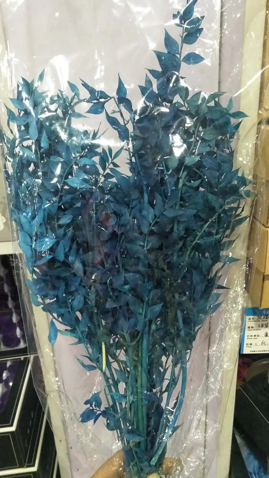 Натуральные настоящие консервированные насыщенные листья ветка рускуса 45-50 см