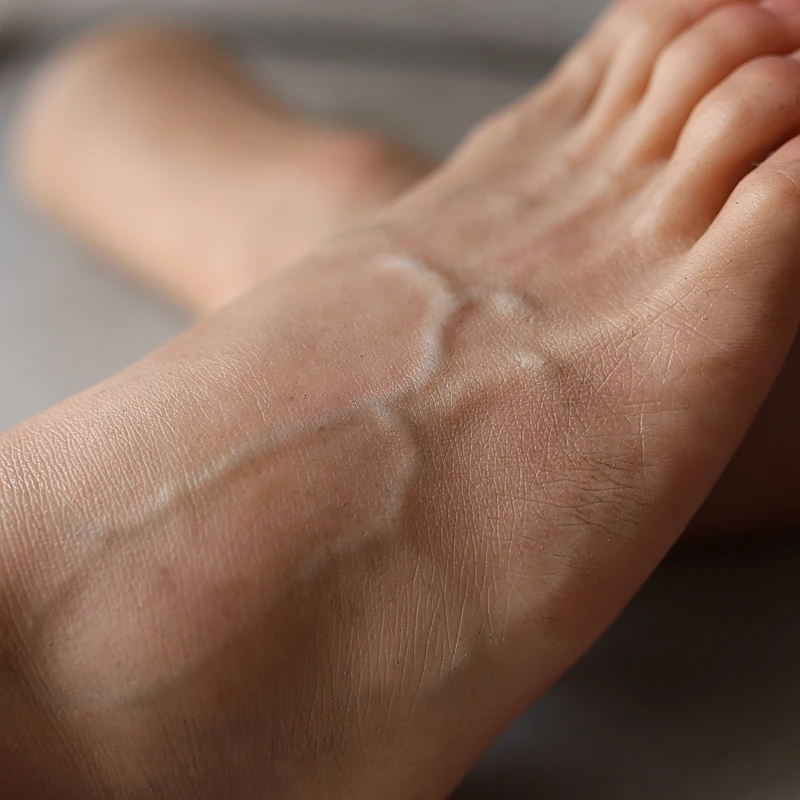 Женская модель ноги видимые кровеносные сосуды Heatable пластиковый манекен 1 пара