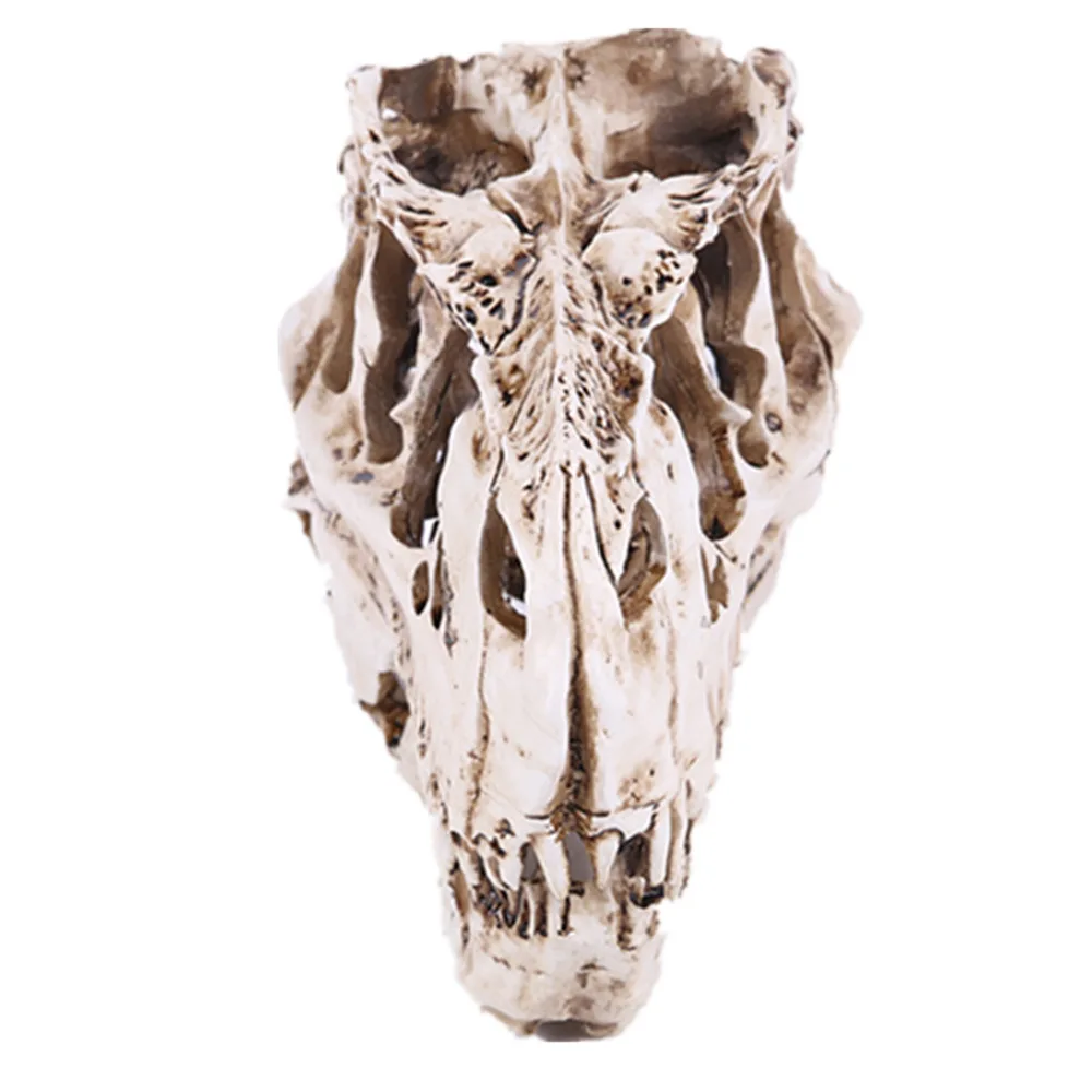 

2023 Resin Dinosaur Skull Tyrannosaurus Rex Fossils Teaching Skeleton Model Sculpture Festival Decoration Aquarium Animal Crafts