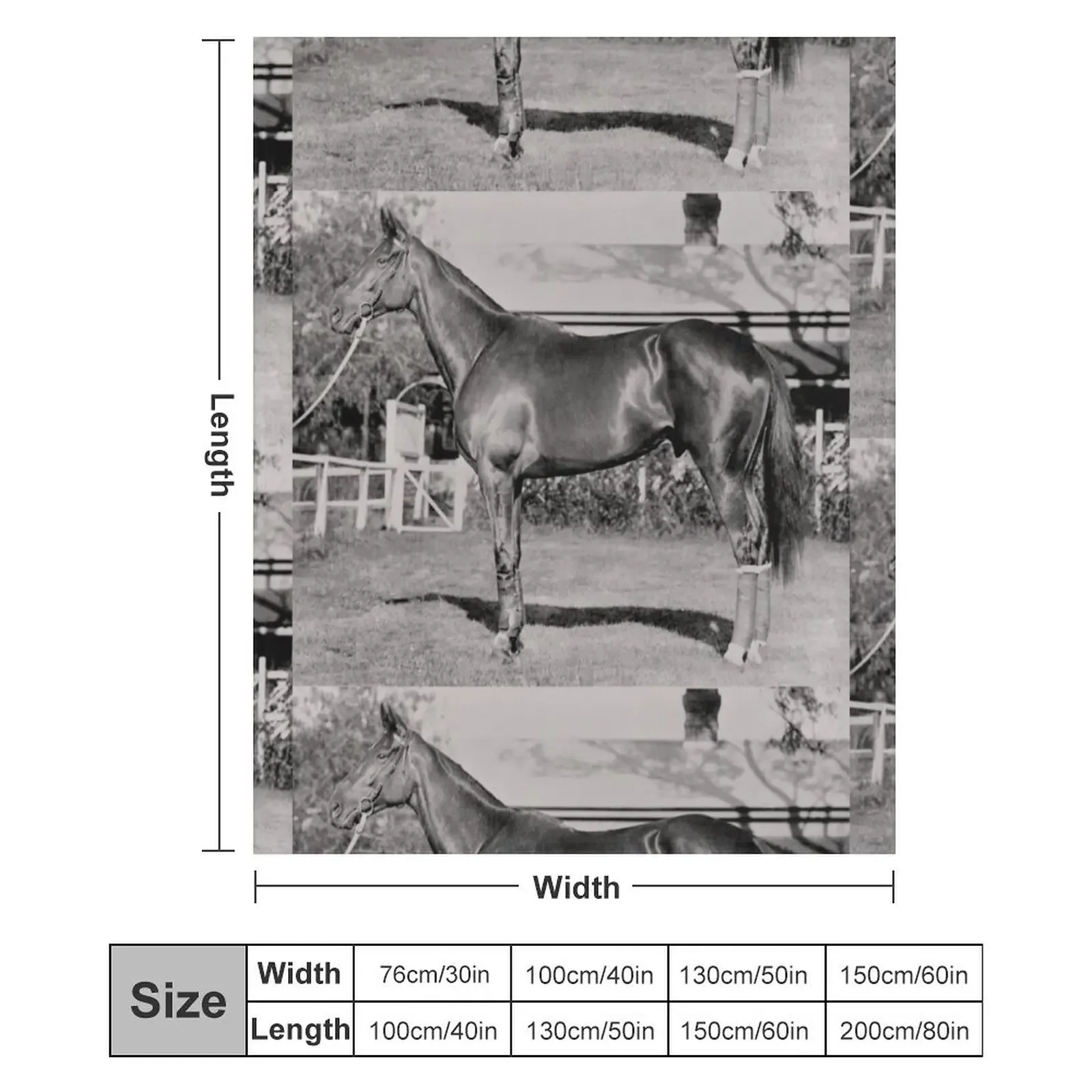 Чемпион австралийской гоночной лошади Phar Lap. Плед плед на диван Симпатичные