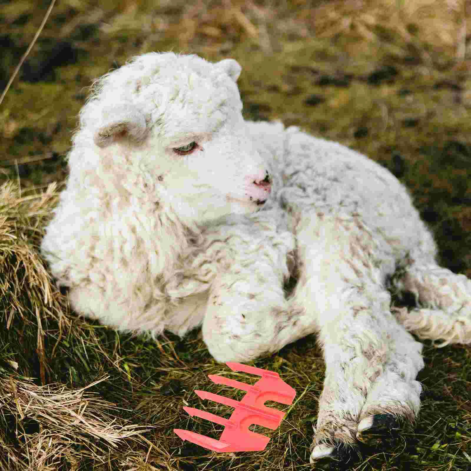 Professional Clipper Guide Protective Trimmer Sheep Scissor Accessories Grooming Plastic Goat