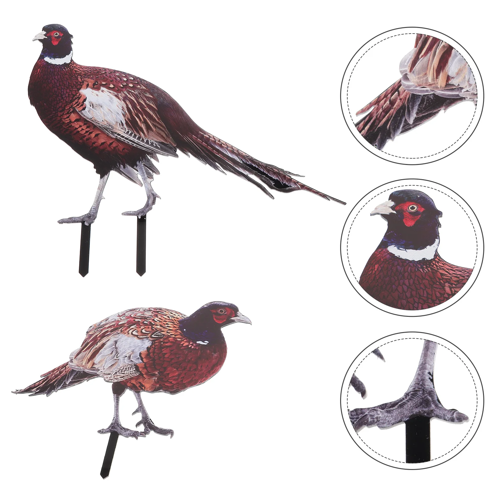 

Pheasant Garden Decoration Stake Decorations Animal Yard Yards Acrylic Lawn Decorative Ornament Outdoor